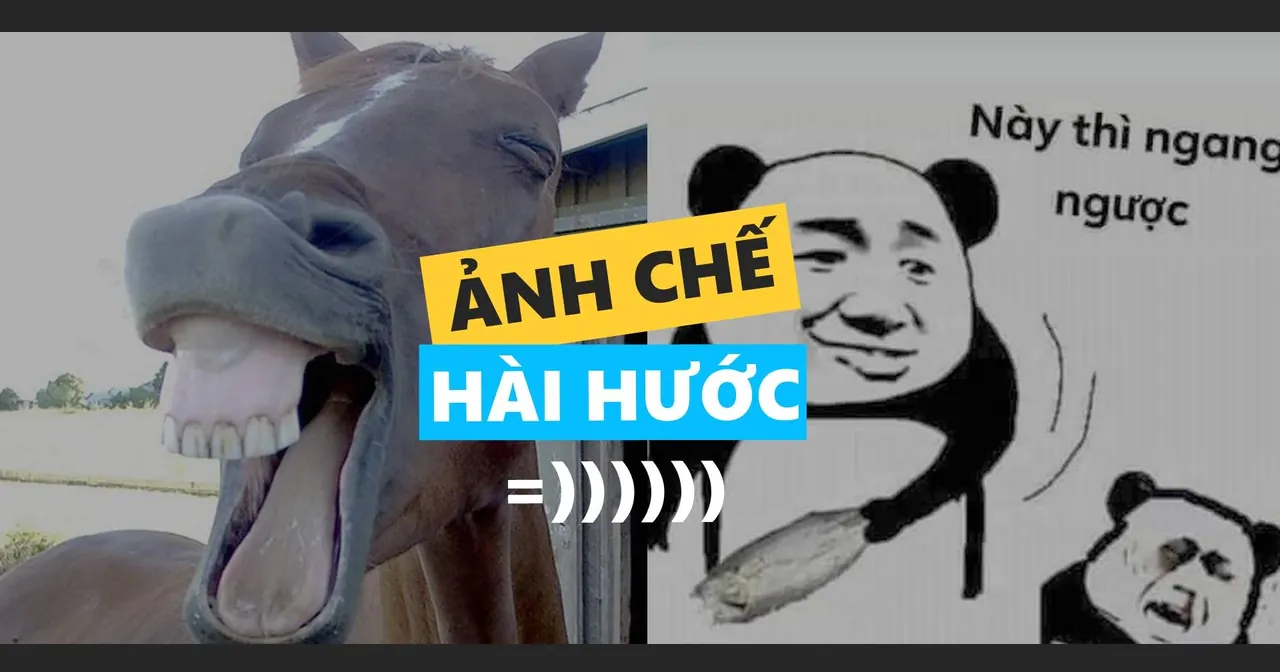 100+ ảnh chế hài hước siêu vui nhộn cho nhóm chat · ảnh 2